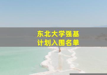 东北大学强基计划入围名单