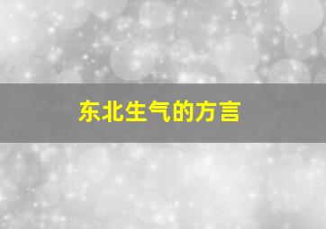 东北生气的方言