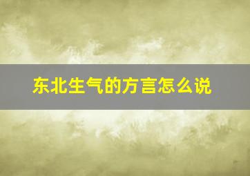 东北生气的方言怎么说