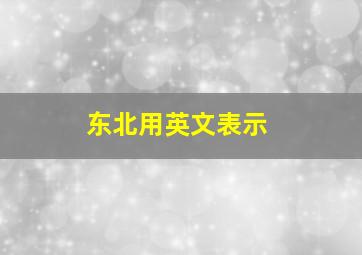 东北用英文表示