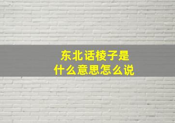 东北话棱子是什么意思怎么说