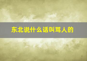 东北说什么话叫骂人的