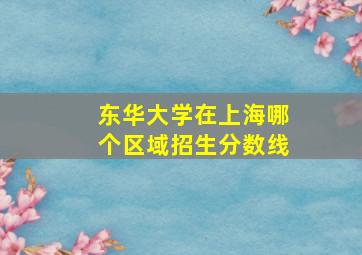 东华大学在上海哪个区域招生分数线