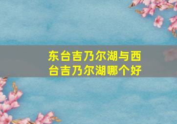 东台吉乃尔湖与西台吉乃尔湖哪个好