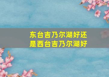 东台吉乃尔湖好还是西台吉乃尔湖好