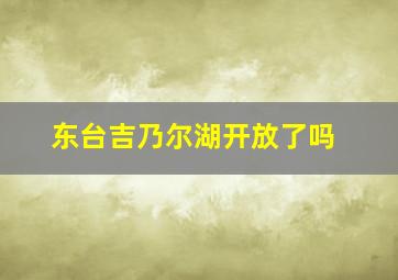 东台吉乃尔湖开放了吗