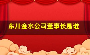 东川金水公司董事长是谁