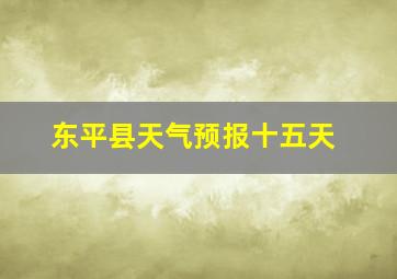 东平县天气预报十五天