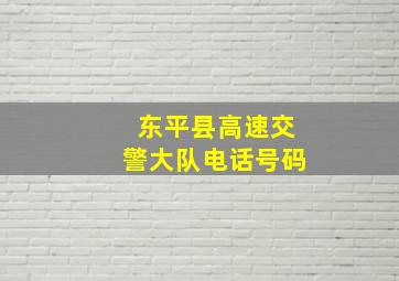 东平县高速交警大队电话号码