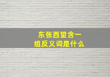 东张西望含一组反义词是什么