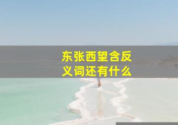 东张西望含反义词还有什么