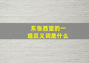 东张西望的一组反义词是什么