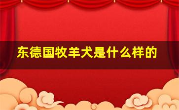 东德国牧羊犬是什么样的