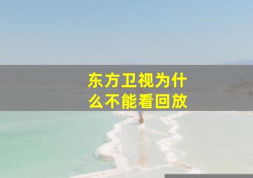 东方卫视为什么不能看回放