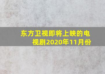 东方卫视即将上映的电视剧2020年11月份