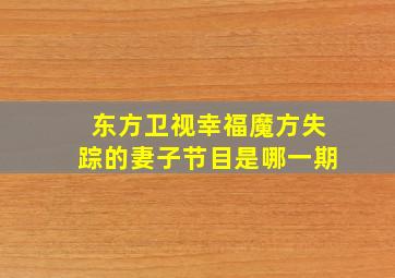 东方卫视幸福魔方失踪的妻子节目是哪一期