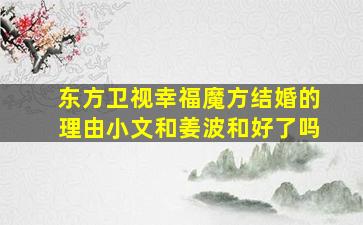 东方卫视幸福魔方结婚的理由小文和姜波和好了吗