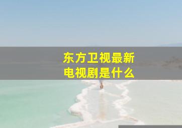 东方卫视最新电视剧是什么