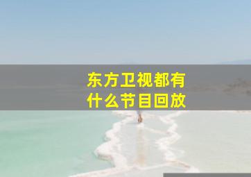 东方卫视都有什么节目回放