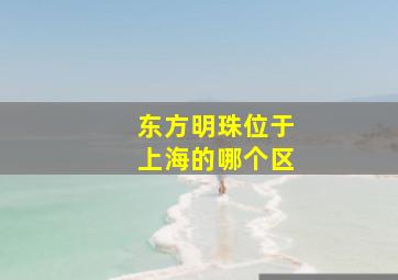 东方明珠位于上海的哪个区