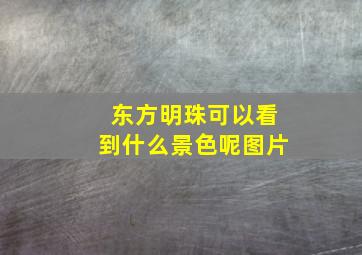 东方明珠可以看到什么景色呢图片