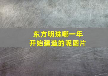 东方明珠哪一年开始建造的呢图片