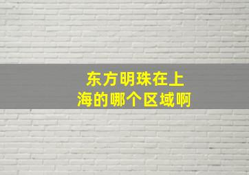 东方明珠在上海的哪个区域啊