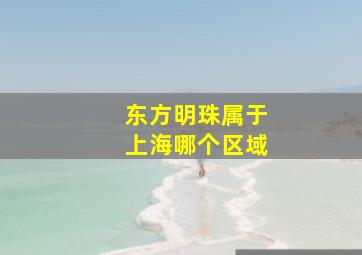 东方明珠属于上海哪个区域