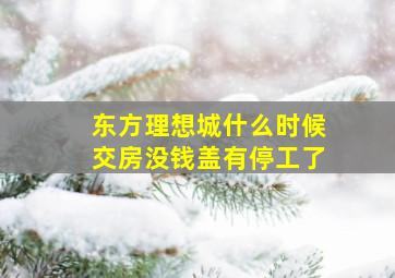 东方理想城什么时候交房没钱盖有停工了