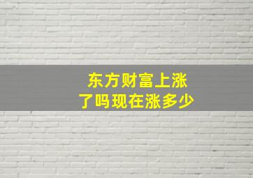 东方财富上涨了吗现在涨多少