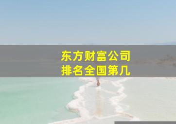 东方财富公司排名全国第几