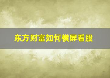 东方财富如何横屏看股