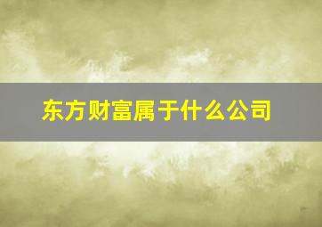 东方财富属于什么公司