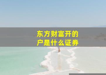 东方财富开的户是什么证券