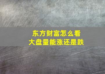 东方财富怎么看大盘量能涨还是跌