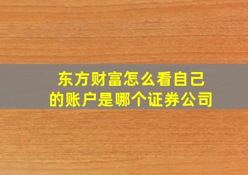 东方财富怎么看自己的账户是哪个证券公司