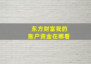 东方财富我的账户资金在哪看