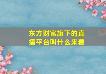 东方财富旗下的直播平台叫什么来着