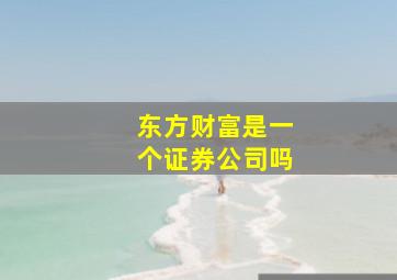 东方财富是一个证券公司吗