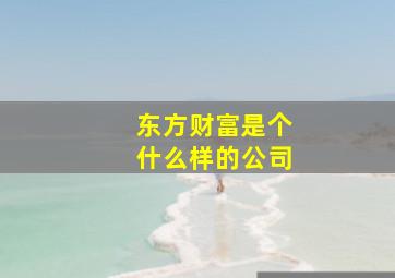 东方财富是个什么样的公司