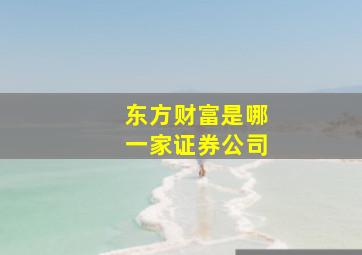 东方财富是哪一家证券公司