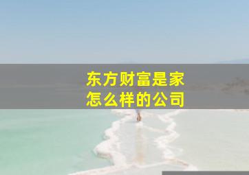 东方财富是家怎么样的公司