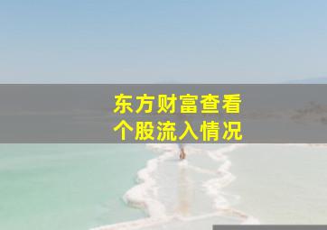 东方财富查看个股流入情况