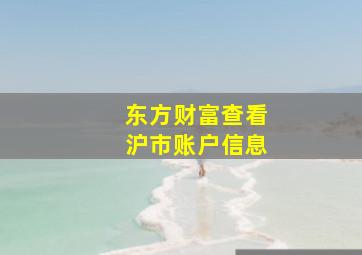 东方财富查看沪市账户信息