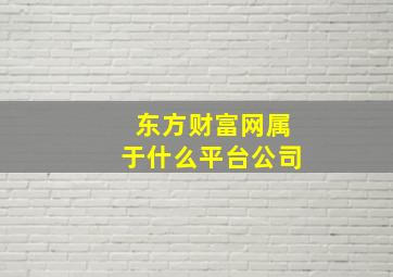 东方财富网属于什么平台公司