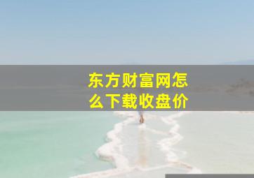 东方财富网怎么下载收盘价