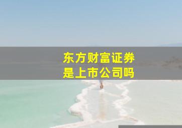 东方财富证券是上市公司吗