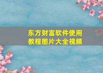 东方财富软件使用教程图片大全视频