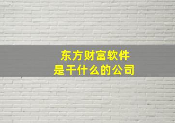 东方财富软件是干什么的公司