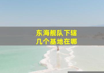 东海舰队下辖几个基地在哪